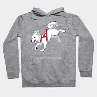 White Husky Running Hoodie